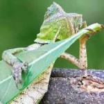 Despeje de la rutina sin afectar el laburo en Mendoza Capital, Pcia. Mendoza