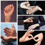 LENGUA DE SEÑAS ARGENTINA APOYO ESCOLAR en Pcia. Buenos Aires (GBA Sur)