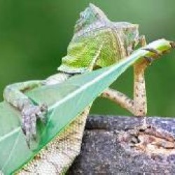 Despeje de la rutina sin afectar el laburo en Mendoza Capital, Pcia. Mendoza